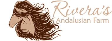 Rivera's Andalusian Farm